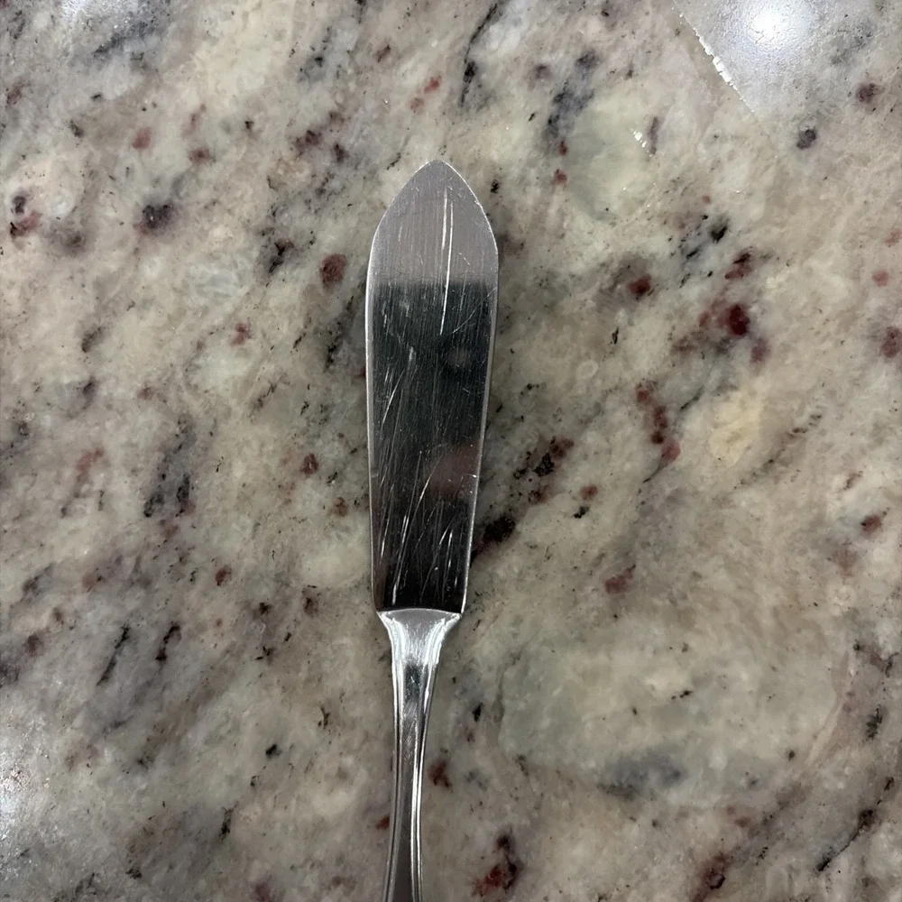 Oneida Twilight Stainless Steel Butter Knife Spreader 6 3/4
